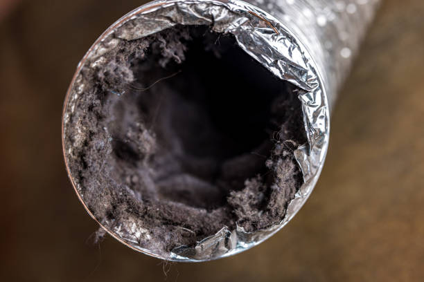 Best Affordable Duct Cleaning Services  in Marshall, VA